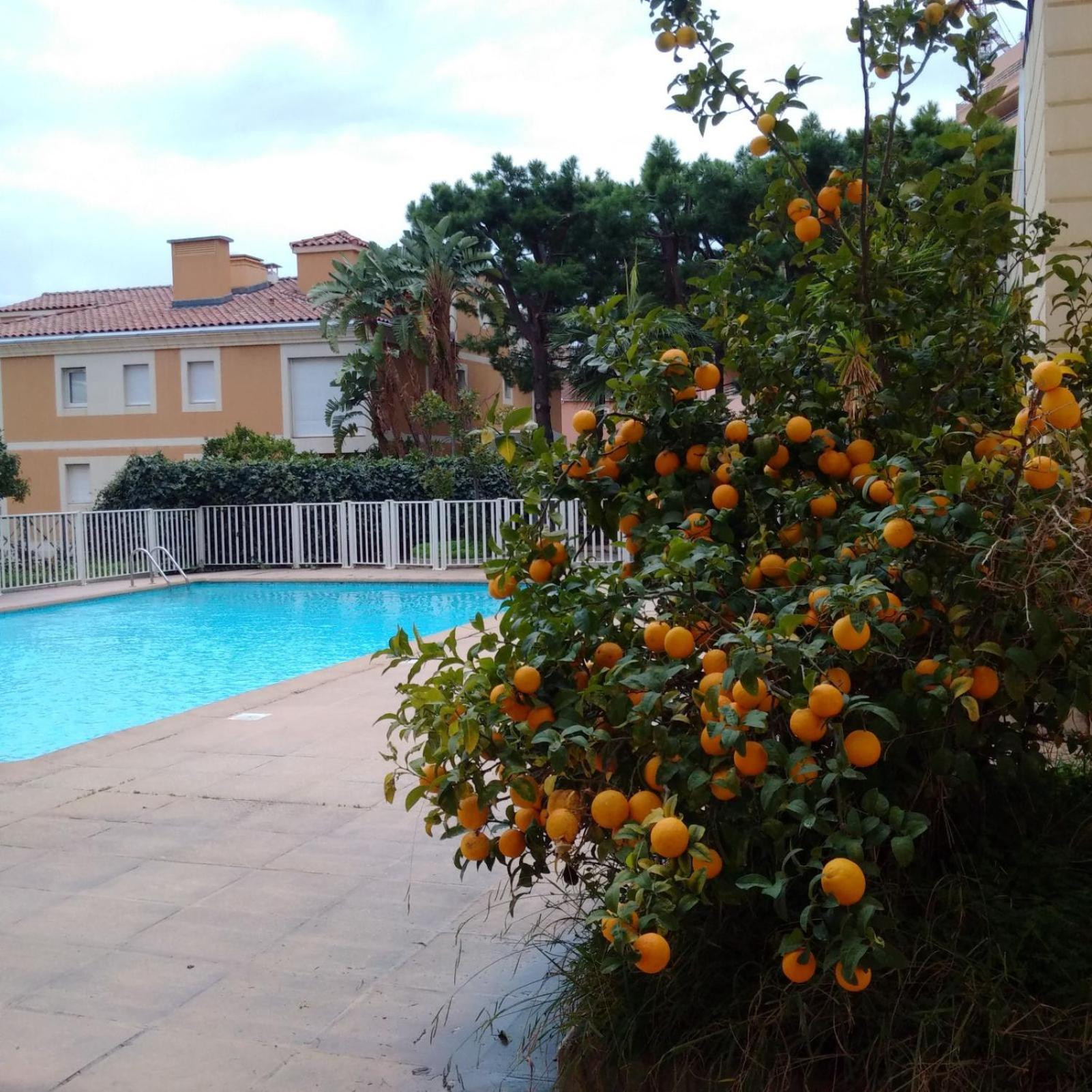 Direct Monaco Studio Devant Piscine 博索莱伊 外观 照片